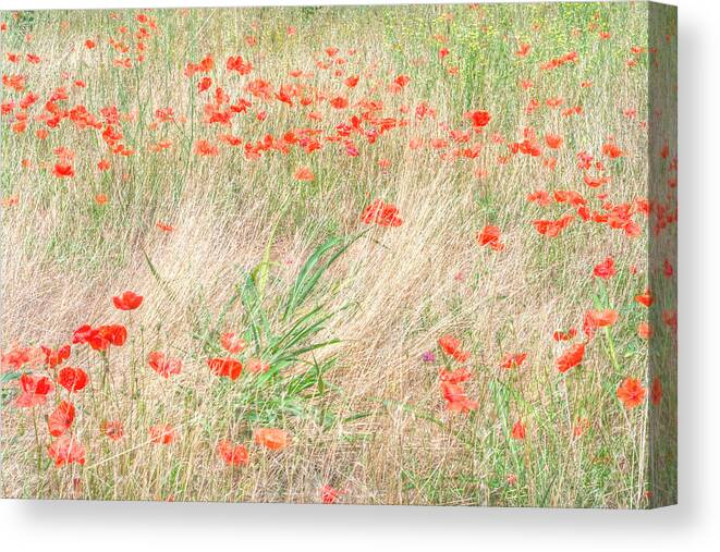 Hot Canvas Print featuring the photograph Hot Midday Of The Summer Solstice by Gianluca Li Causi