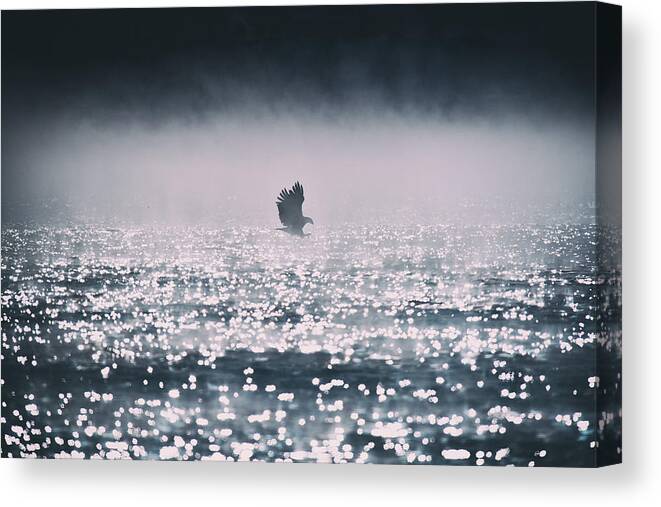 Bird Canvas Print featuring the photograph Hunting In 0 F by Yu Cheng