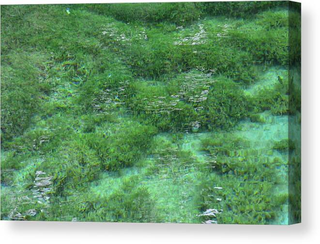 Nature Canvas Print featuring the mixed media Hypnotizing Lake 2 by Angelina Tamez