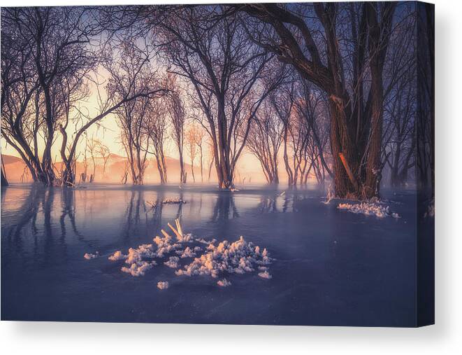Winter Canvas Print featuring the photograph Ice And Snow Forest by ??tianqi