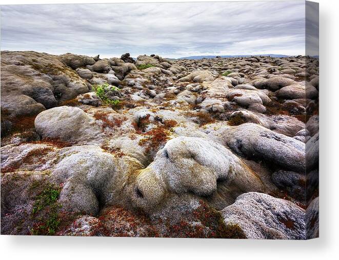 Landscape Canvas Print featuring the photograph Iceland Landscape With Lava Field by Ivan Kmit