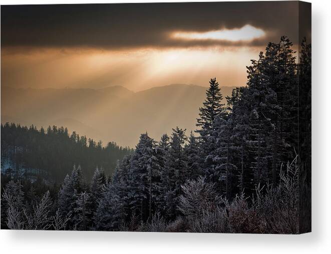 Scenics Canvas Print featuring the photograph Illuminated Winter Landscape by Andreas Wonisch