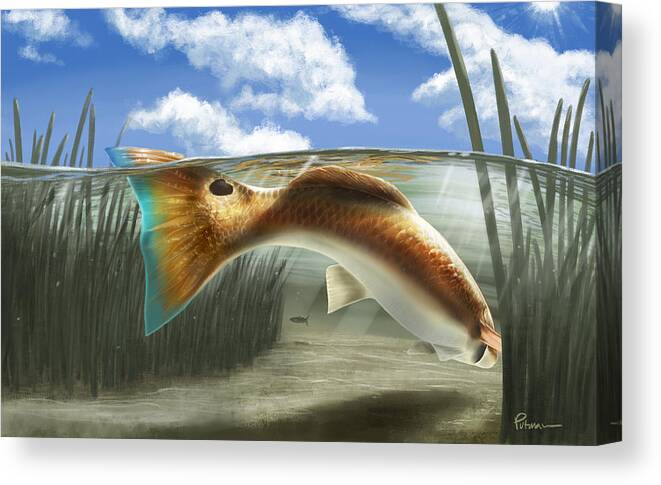 Redfish Canvas Print featuring the digital art In The Gut by Kevin Putman