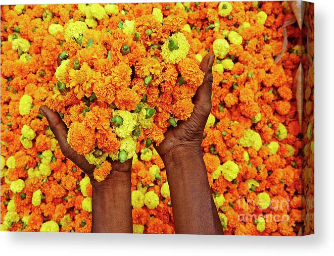 Flower Market Canvas Print featuring the photograph India, Kolkata, Mullik Ghat Flower by Tuul & Bruno Morandi