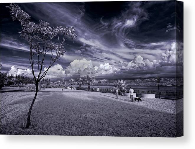 Infrared Canvas Print featuring the photograph Infrared World_02 by Nebula