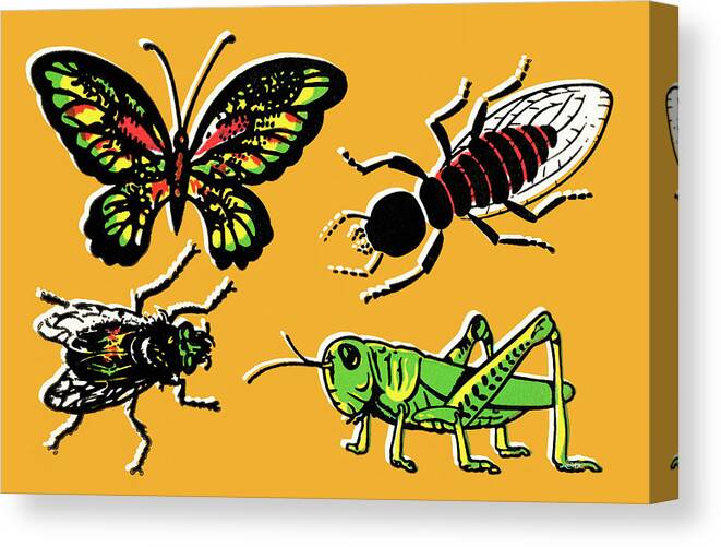 Animal Canvas Print featuring the drawing Insects by CSA Images