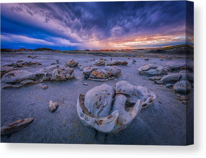 #myrrs Canvas Print featuring the photograph Into The Infinite Future by Michael Zheng