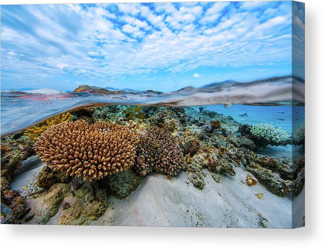 Lagoon Canvas Print featuring the photograph Into The Lagoon! by Barathieu Gabriel