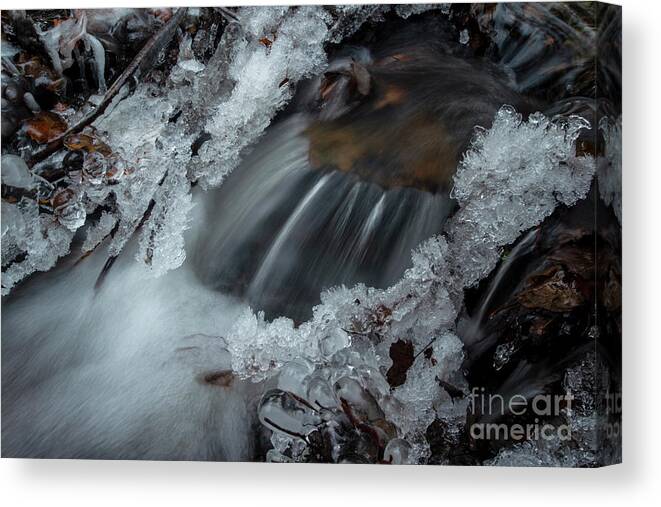 Water Canvas Print featuring the photograph Jeweled Cascade by Jane Axman