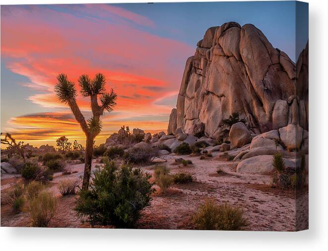 California Canvas Print featuring the photograph Joshua Tree Sunset by Peter Tellone