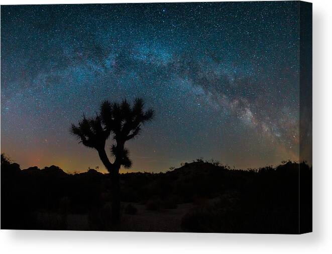 Starry Canvas Print featuring the photograph Joshua Tree Under Stars by Jay Zhu