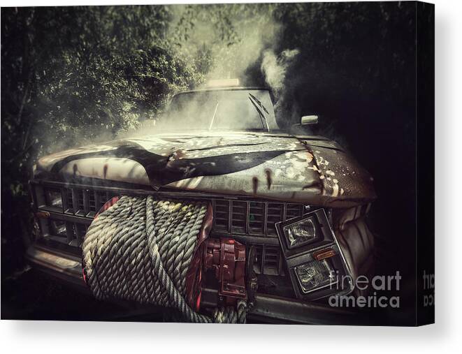Problems Canvas Print featuring the photograph Jungle Breakdown by Sean Gladwell