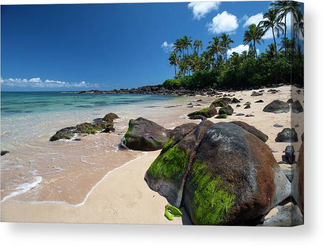 Rocks Canvas Print featuring the photograph Kawailoa Beach by David L Moore