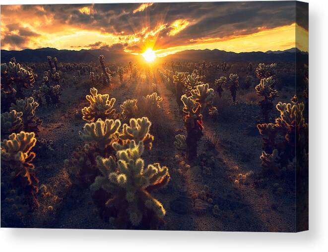 Desert Canvas Print featuring the photograph Kingdom Of Chola by Atanu Bandyopadhyay