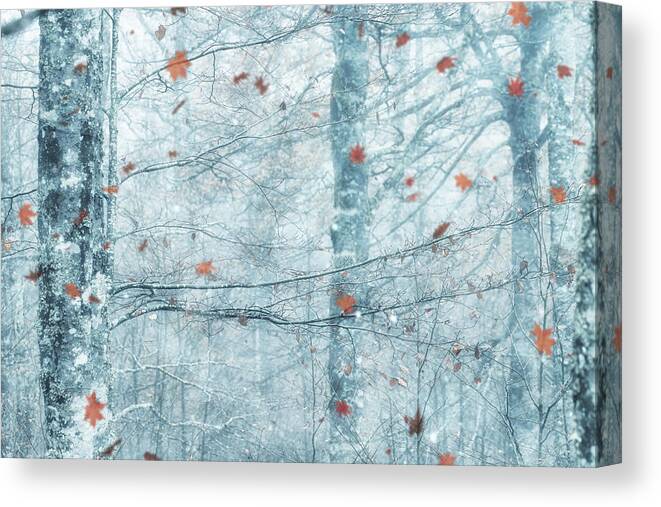 Autumn Canvas Print featuring the photograph La Gran Ilusion by Jorge Gonzalez Herrera