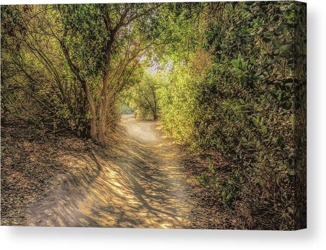Trail Canvas Print featuring the photograph Lake Calavera Trail by Alison Frank