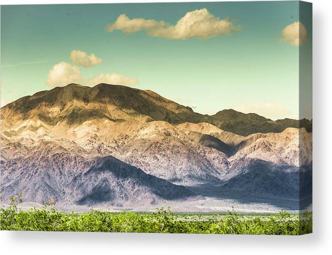 Top Artist Canvas Print featuring the photograph Landscape Joshua Tree 7370 by Amyn Nasser