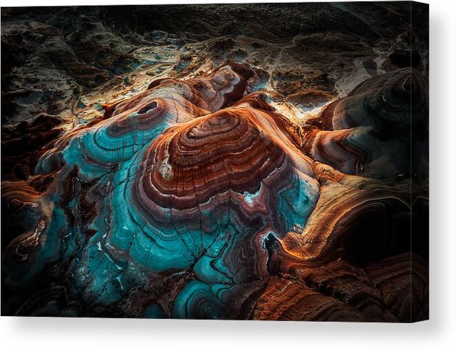 Utah Canvas Print featuring the photograph Landscape Of Mars by James Bian