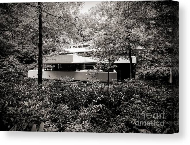 Frank Lloyd Wright Canvas Print featuring the photograph Landscape View Fallingwater Frank Lloyd Wright Architect by Chuck Kuhn