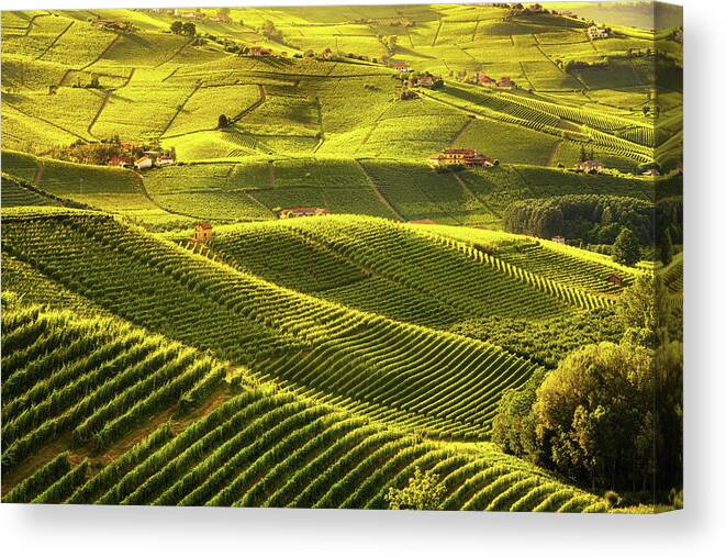 Vineyards Canvas Print featuring the photograph Langhe vineyards sunset panorama, Barolo, Piedmont, Italy Europe by Stefano Orazzini