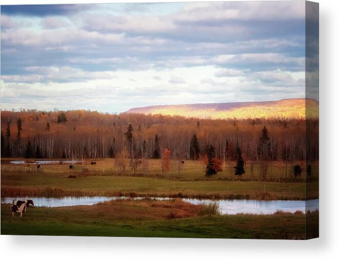 Autumn Canvas Print featuring the photograph Last Days of Autumn by Susan Rissi Tregoning