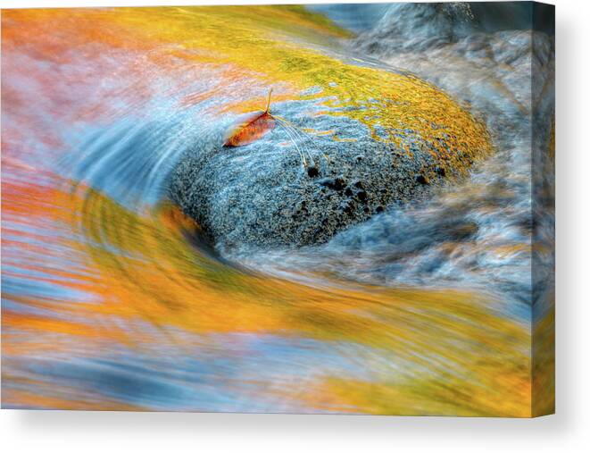 Autumn In Nh Canvas Print featuring the photograph Leaf Lines NH by Michael Hubley