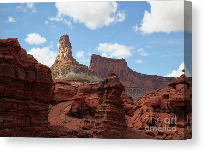 Canyonlands Canvas Print featuring the photograph Let the Chips Fall by Jim Garrison