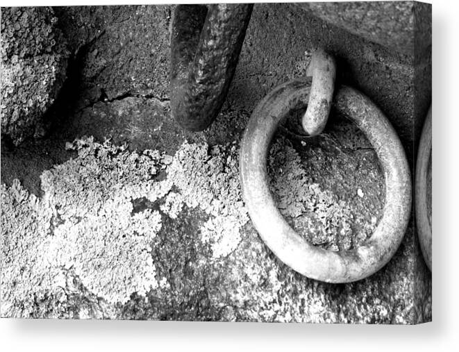 Black And White Canvas Print featuring the photograph Life Among Rings-BW by Vicky Edgerly