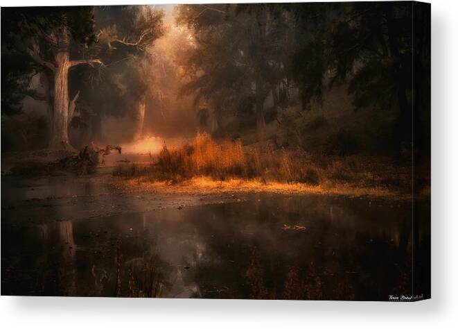 Landscape Canvas Print featuring the photograph Life Is But A Dream by Taransohal