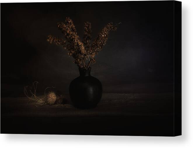 Leaves Canvas Print featuring the photograph Light Games In The Dark by iek K?ral