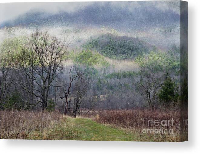 Smoky Mountains Canvas Print featuring the photograph Light Mountain Snow by Mike Eingle