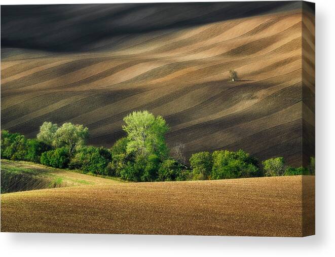 South Canvas Print featuring the photograph Lines And Shadows by Jakub Kozio?