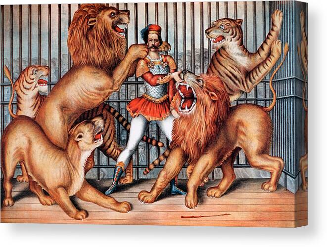 Lion Tamer, Circus Animal Canvas Print / Canvas Art by Universal History  Archive - Fine Art America
