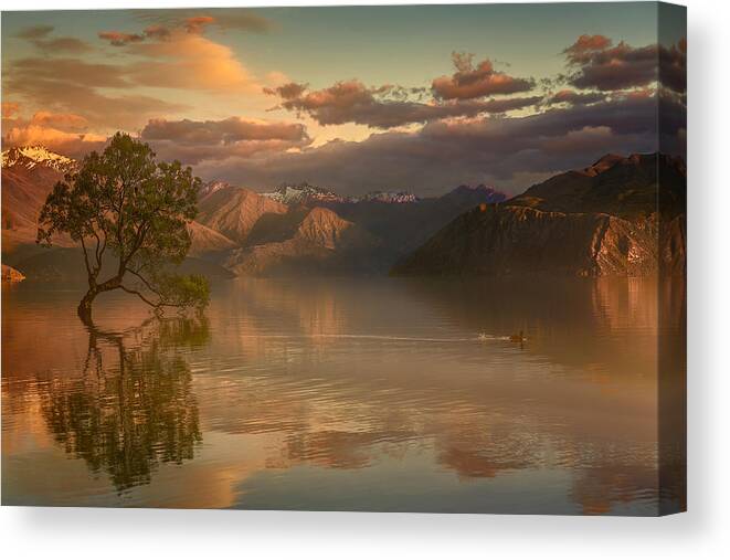 Lake Wanaka Canvas Print featuring the photograph Lone Tree Not Alone by Stanley Loong