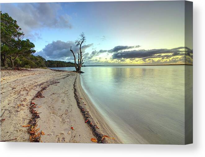 Tree Canvas Print featuring the photograph Lonely by Nicolas Lombard
