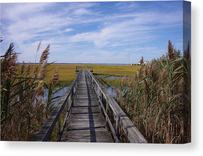 Dock Canvas Print featuring the photograph Long Walk by Greg Graham