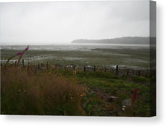 Low Tide Willapa Canvas Print featuring the photograph Low Tide Willapa by Dylan Punke