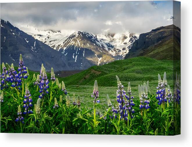 Lazy Canvas Print featuring the photograph Majestic Mountains by Amanda Jones