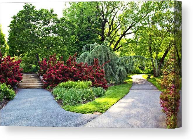 Pathways Canvas Print featuring the photograph Many Paths One Goal by Allen Nice-Webb