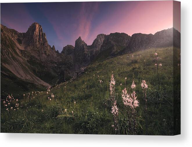 Landscape Canvas Print featuring the photograph Maraa by Carlos F. Turienzo