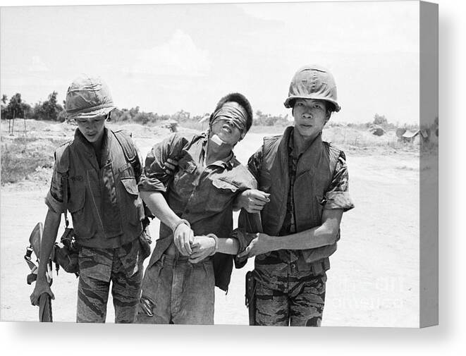Interrogation Canvas Print featuring the photograph Marine Escorts N. Vietnamese Soldier by Bettmann