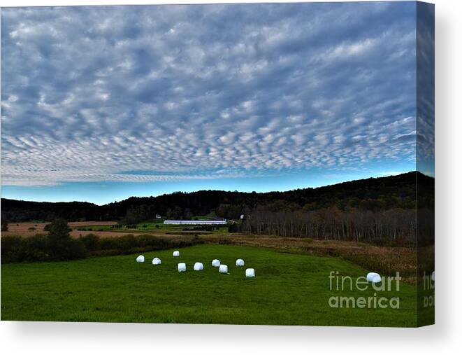 Autumn Canvas Print featuring the photograph Marshmallow Field by Dani McEvoy