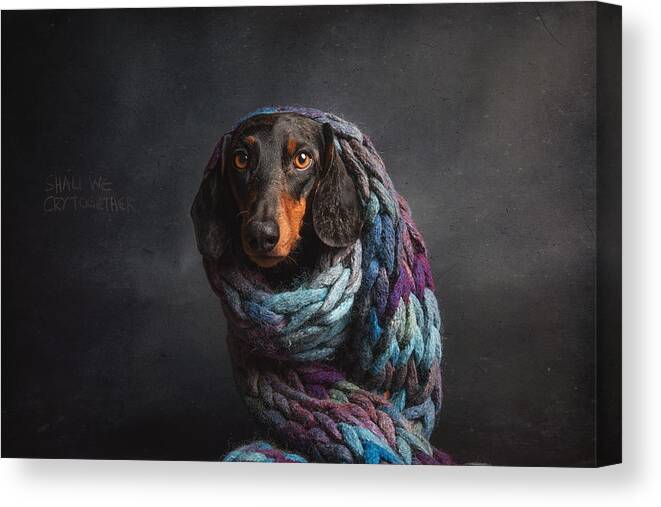 Dogs Canvas Print featuring the photograph Melancholy, Or....shall We Cry Together... by Heike Willers