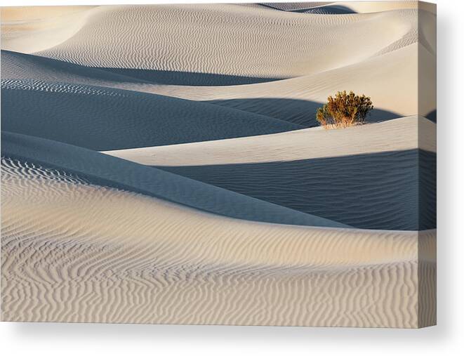 Scenics Canvas Print featuring the photograph Mesquite Dunes, Death Valley by Chris Moore - Exploring Light Photography