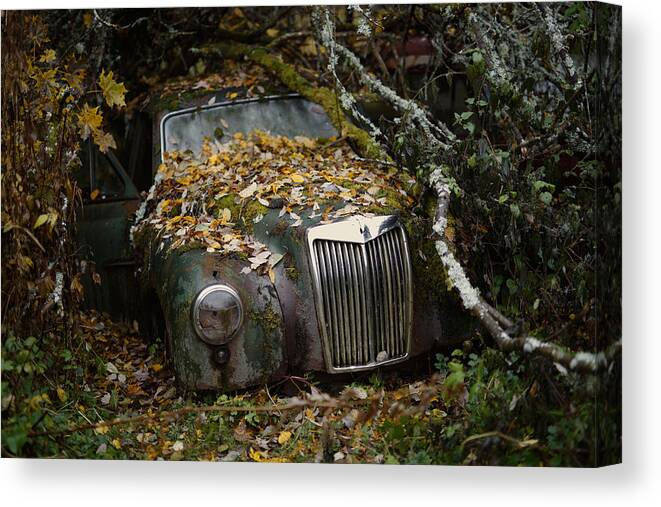 Mg Magnette Zb Canvas Print featuring the photograph Mg Magnette Zb by ?ukasz Ma?kiewicz