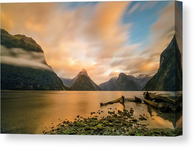 Morning Canvas Print featuring the photograph Milford Sound by Hua Zhu