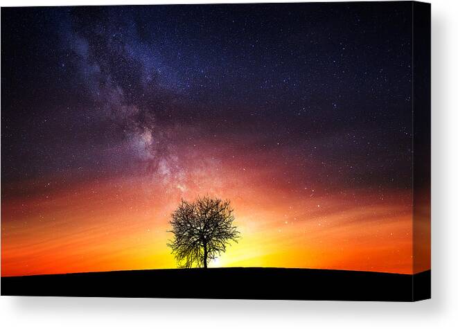 Tree Canvas Print featuring the photograph Milky Way by Bess Hamiti