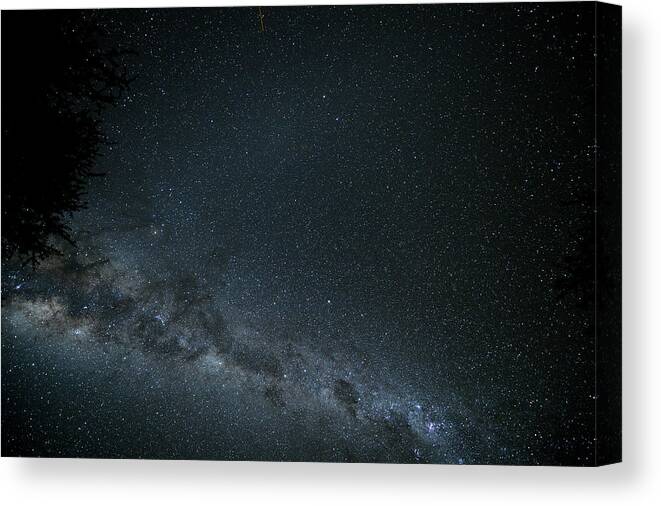 Scenics Canvas Print featuring the photograph Milky Way With Treetop In Namibia by Wolfgang steiner