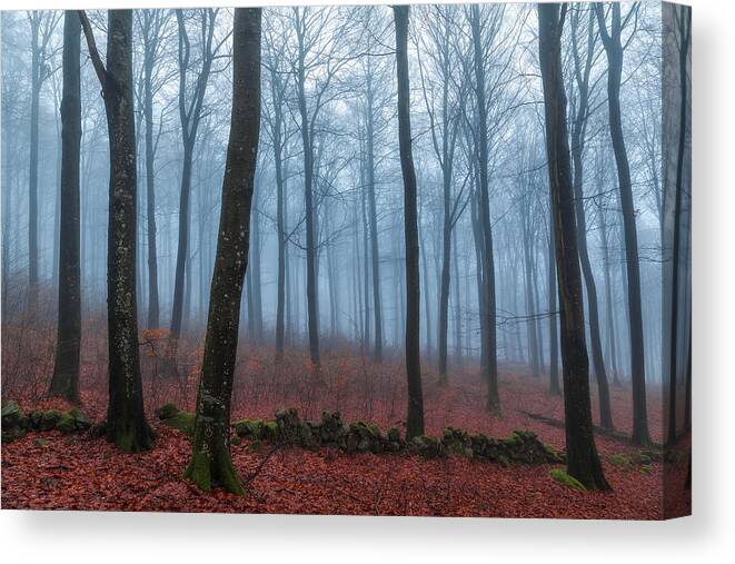 Mist Canvas Print featuring the photograph Misty Woods by Gustav Davidsson