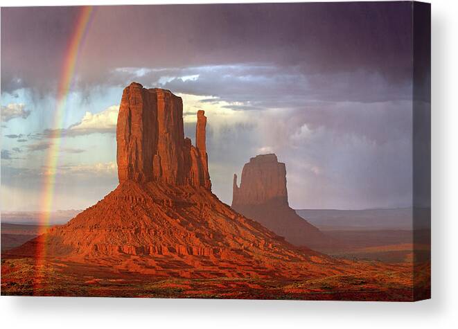 Mittens Rainbow Canvas Print featuring the painting Mittens Rainbow 2431 by Mike Jones Photo